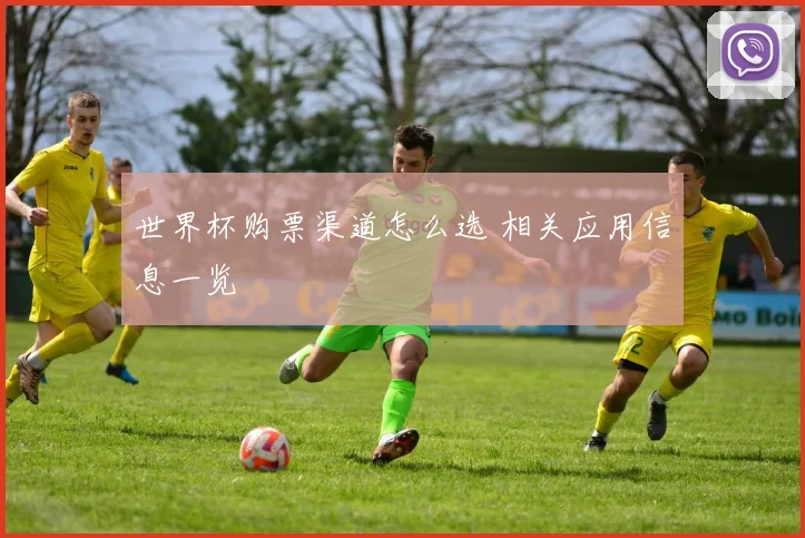 世界杯购票渠道怎么选 相关应用信息一览