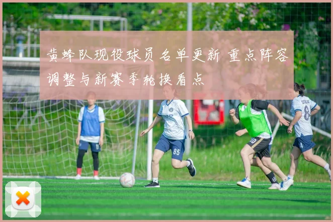 黄蜂队现役球员名单更新 重点阵容调整与新赛季轮换看点