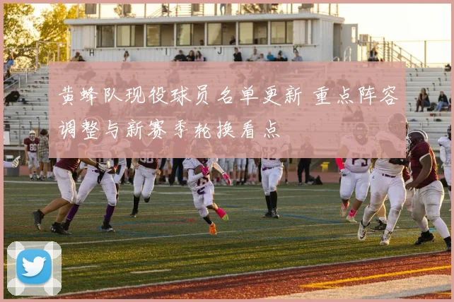 黄蜂队现役球员名单更新 重点阵容调整与新赛季轮换看点