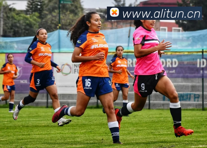 开云官方版网站登录入口 - 开云online(中国)服务体系